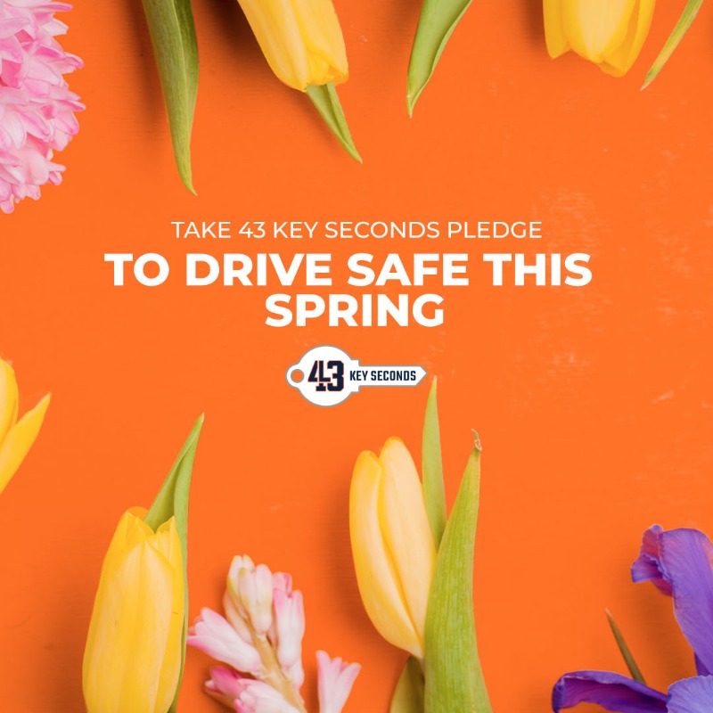 Heading into warmer months, take the 43 Key Seconds Pledge and vow to drive safe this spring🌷☔️ Click the link to take the pledge! lutzie43.org/pledge/