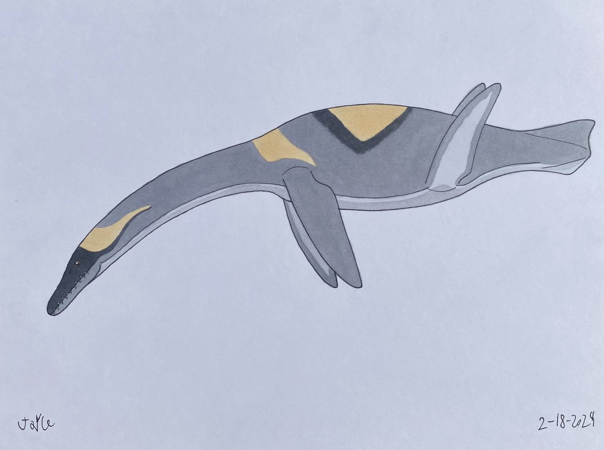 CreatorJayce's tweet photo. I made two new sticker designs of Serpentisuchops yesterday

#Paleoart #polycotylid https://t.co/jd8JM6T7HF