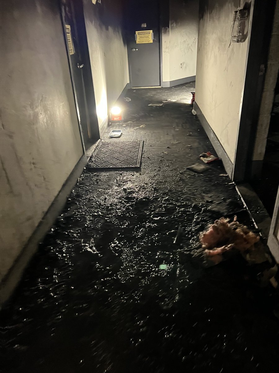 Mishka Espey tweet media