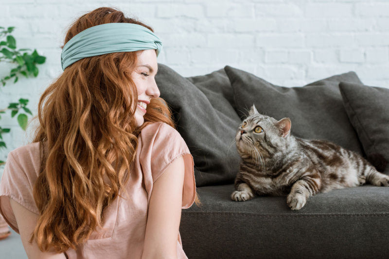 Nine Lives, One Lifetime: 5 Tips to Extending Your Cat’s Lifespan!
thepurringtonpost.com/5-tips-to-exte…