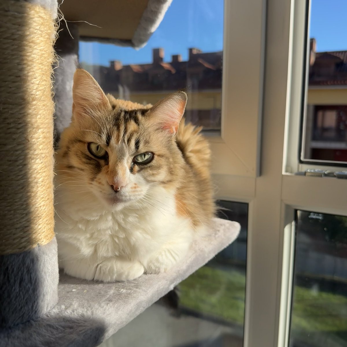 Pitu Herranz tweet media