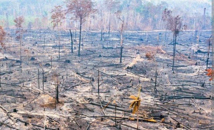 VTondelo's tweet image. The speed of man separating himself from nature and the ecosystem due to science and technological advancement is high. In responding to the situation, nature is cursing humanity with number of complicated diseases and natural disasters. We need to say sorry to the nature.