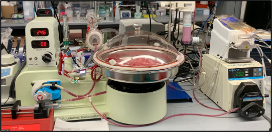 ICYMI: #NCStateVetMed gastroenterologist Dr. Liara Gonzalez received a $3.5 million <a href="/NIH/">NIH</a> grant to study normothermic machine perfusion's clinical use in small intestine transplantation. The tech could offer a lifeline to people with intestinal failure: ncst.at/B4TE50QCg7R