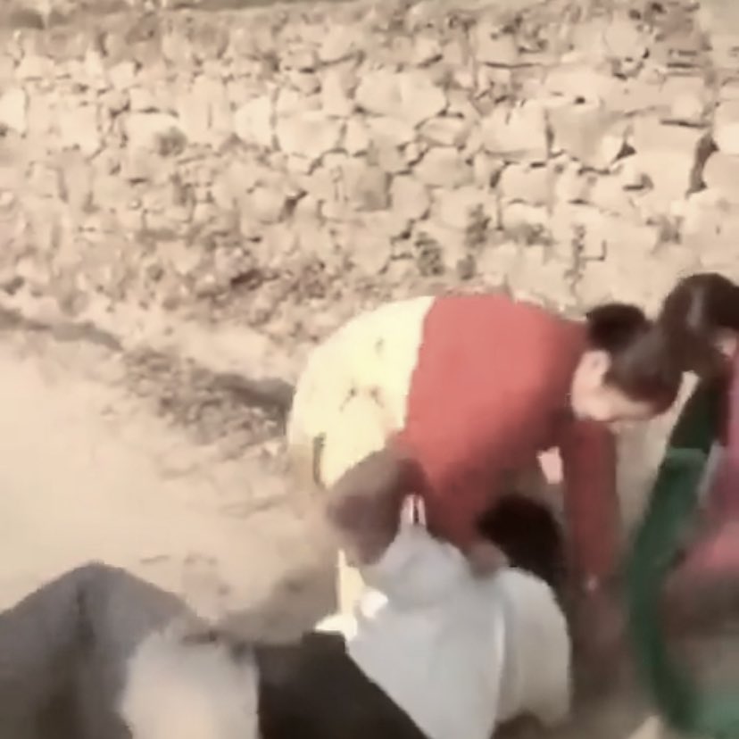 shipper_huipper's tweet image. Женская солидарность в действии. 

Мужчина с видео был пойман на попытке изнасилования девочки-подростка. 

Увидевшие это женщины бросились  на преступника и просто отпиздили его палками и камнями. 

Я люблю женщин ❤️‍🩹