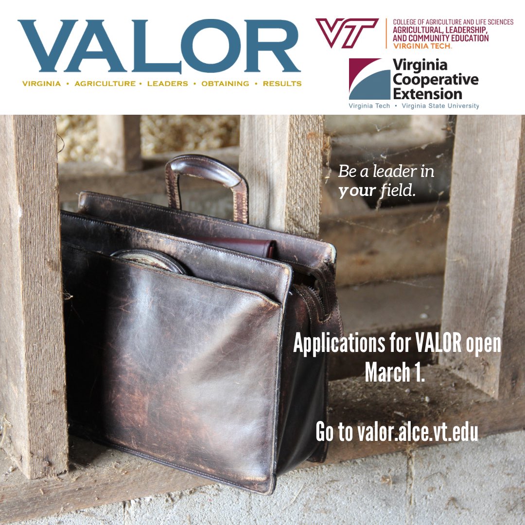 VALOR team tweet media