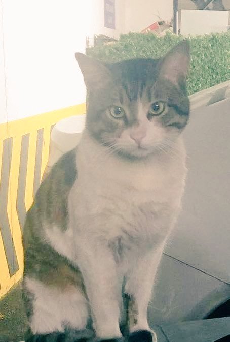 Unuttuk mu? Ben unutmadım...
#VarolsunTürklükKahrolsunKötülük
#GÜSODERKAPATILSIN
#EfeİçinAdalet
#ErosİçinAdalet
#HayvanseverBaşkanlarİstiyoruz
#SiyasalGüçHayvanseverler
#ibrahimkeloğlantutuklansın #hayvanhaklarıanayasaya
#hayvanaşiddetehayır
#KısırlaştırAşılatYerindeYaşat