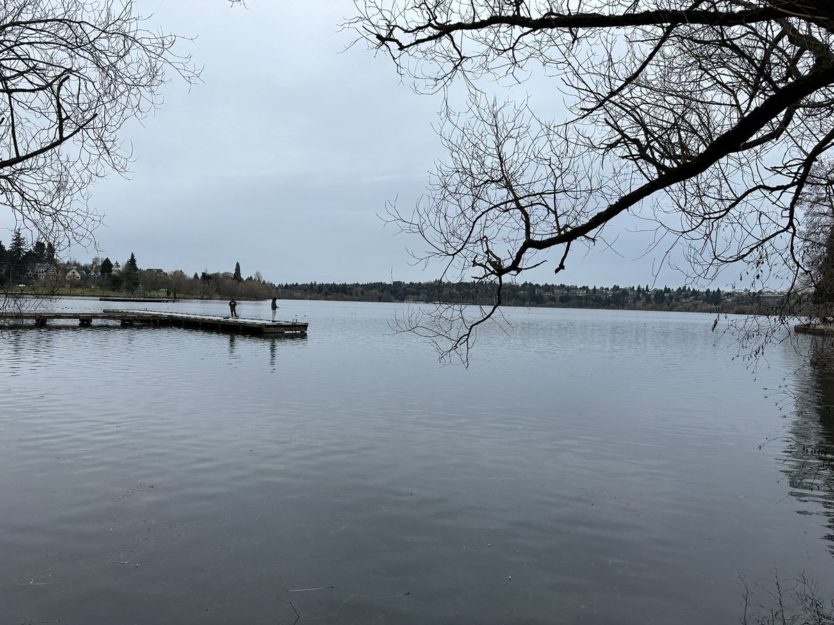 hyndoozy's tweet image. Good #mondaywalk in, seeing some signs on spring but feeling pretty #seattle today