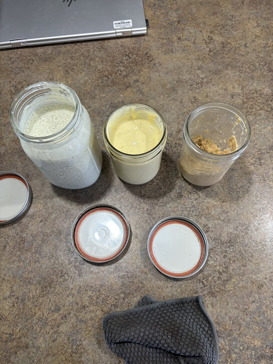 Well after a few attempts I finally made Ranch dressing, mayo and mustard from real ingredients no seed oils no preservatives and no added ingredients that I can’t pronounce. And it actually tastes good 😊. But man I make a mess when I do these things.