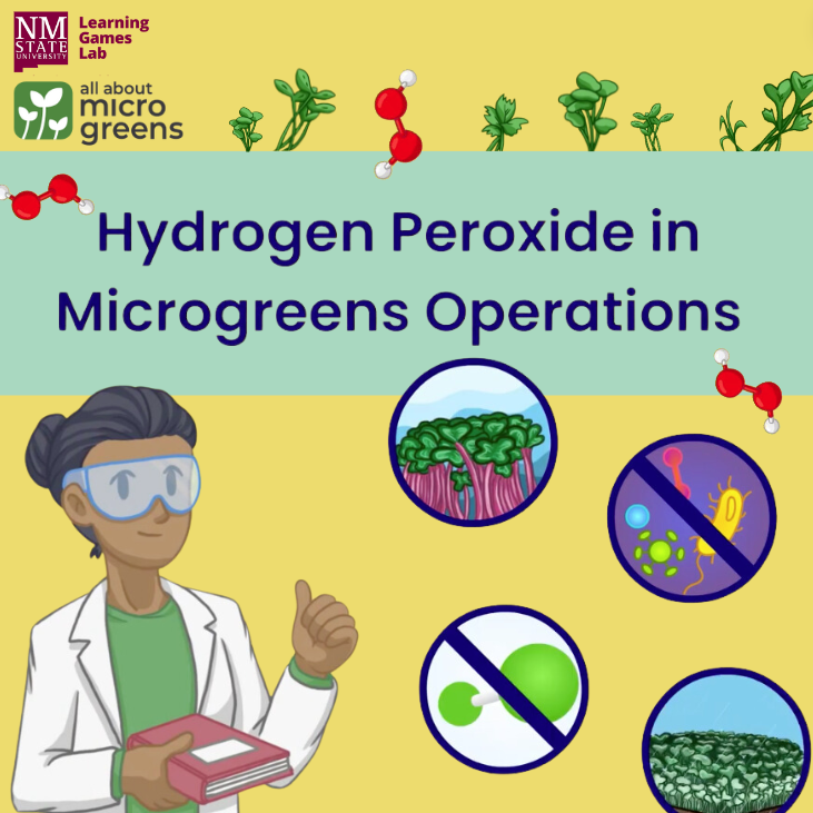 Hydrogen Peroxide is commonly used for sanitizing microgreen tools. But is it really the best? youtube.com/watch?v=mJe29G…