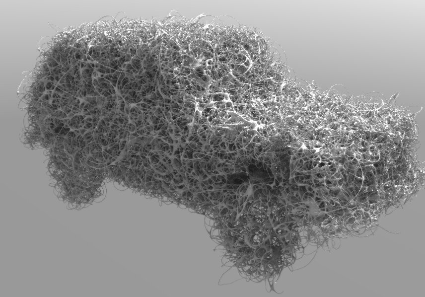 Florian Berger tweet media