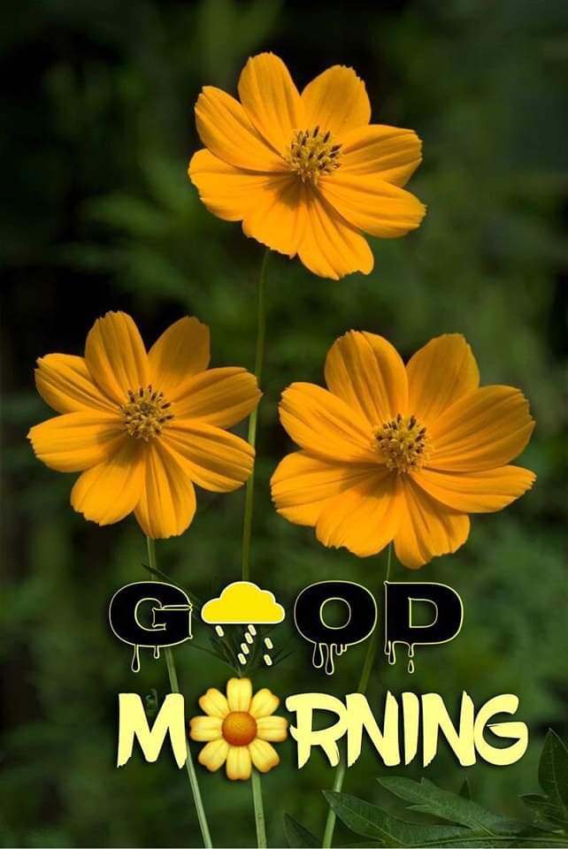 Good morning 🌞💤