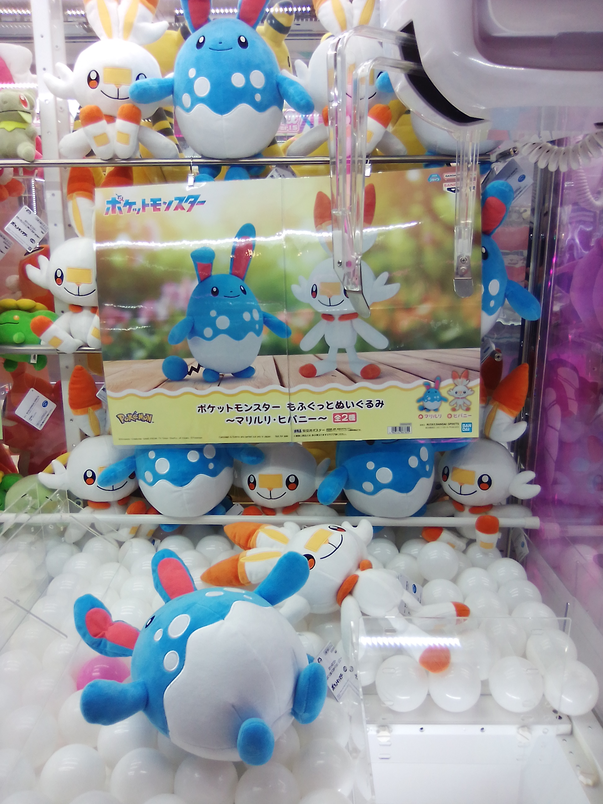 ポケモンぬいぐるみ タイトー公式 on X: 