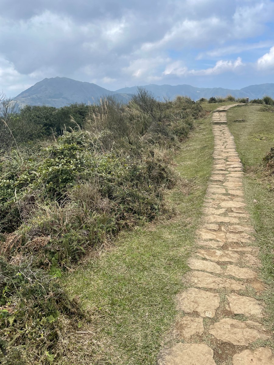 MarcoGrishaber's tweet photo. Last weekend, we went on a long six-hour walk up a volcano in Taiwan called Yang Ming Shan.

Water buffaloes were taking a plunge at nearly 30 degrees Celsius.

The area was full of a sulfur smell, a testament to the volcanic activities.

Yang Ming Shan is famous for its hot springs. We soaked in one right after the hike to reward ourselves which gave me that extra boost, especially after reaching the summit.

Spending time outside with friends is a great way to feel better after a busy week at work.

How do you switch off?