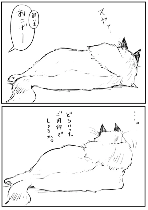 ていねいな ねこ 4
#漫画が読めるハッシュタグ 
#猫 