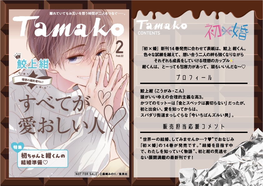 初×婚 1~14巻セット 希少 全巻初版 初×婚 既刊セット