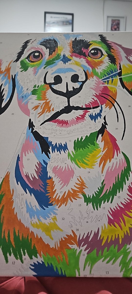 Nat 🐼 tweet media