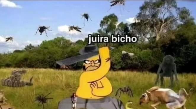 BmElahe's tweet photo. Todos ahora!! #mosquitos https://t.co/EaONqHcHE7