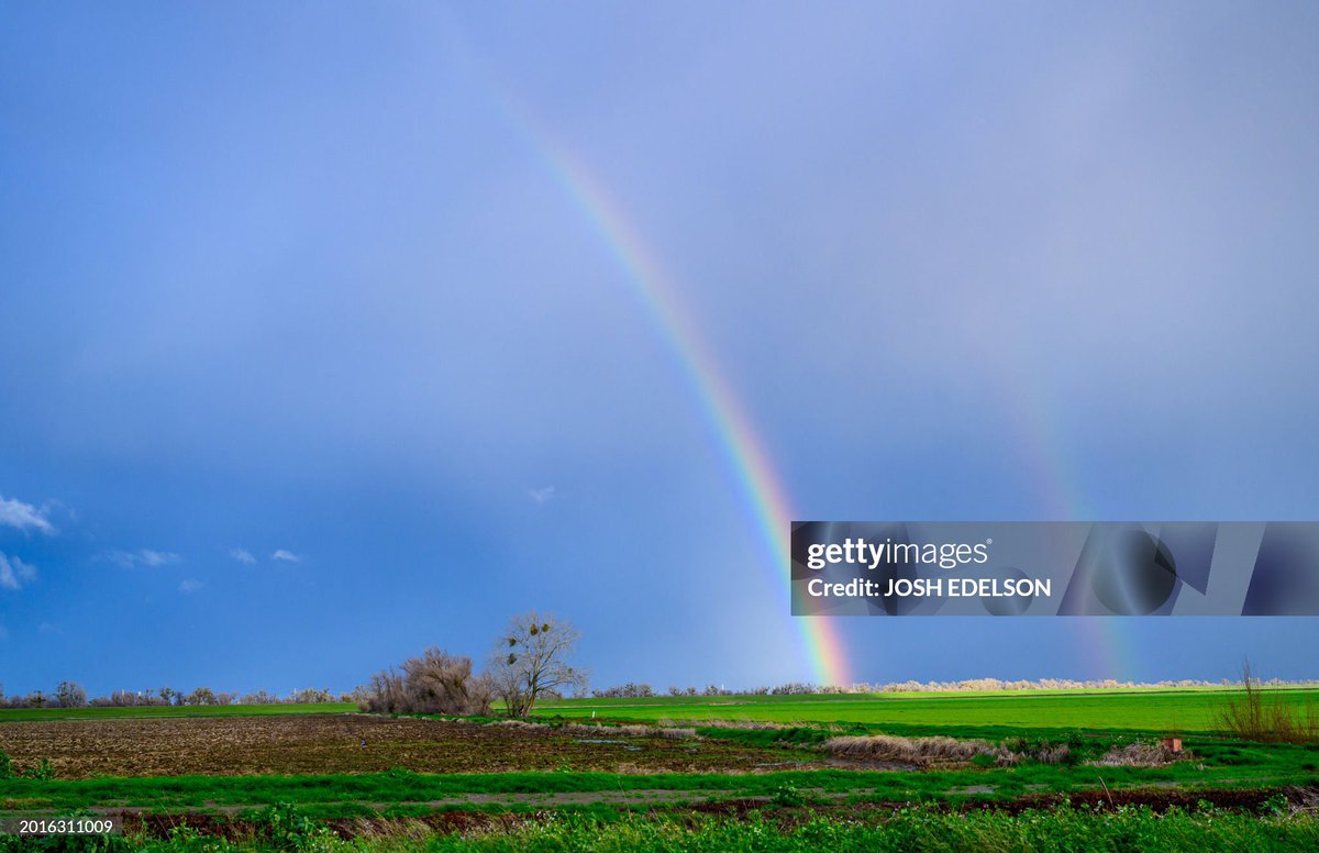 Went out to chase California tornadoes today but had to settle on a flooded road and some rainbows. (Pix in #willows and north of #Sacramento for #AFP ) #CAwx