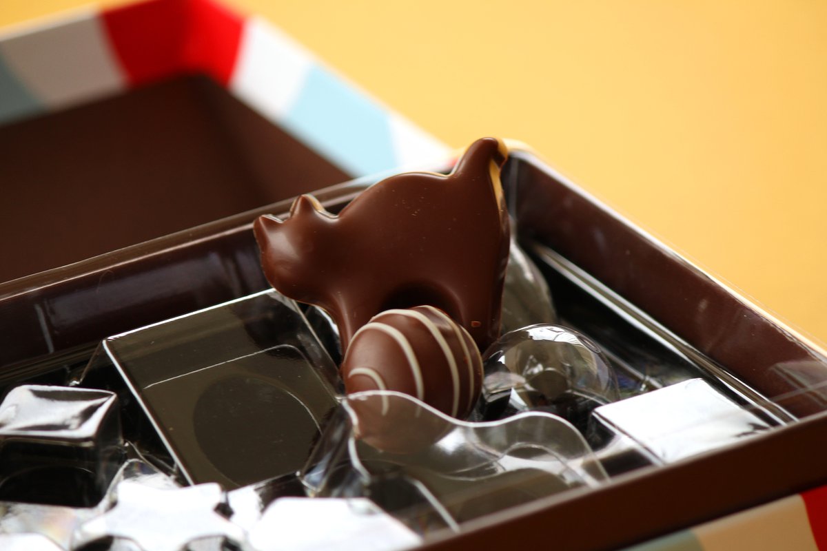 バレンタインかわいい箱おおすぎつらい。
モロゾフさん今年もすごいよ！
印籠式の貼箱！屋根と本体はシールでくっついてる！
中のかわいいチョコたちを抑えるプラカバー、
フタを閉めると固定される仕組み…ひぇぇぇ
そして猫ちゃんが！玉乗りしてるんだよ猫ちゃんがあああ
🐰