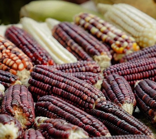 <a href="/Hokol_Vuh/">Hokol Vuh</a>, un evento gastronómico que reunirá a los mejores chefs del mundo.
Una gran experiencia en la que se ayuda a los productores de Yucatán.
Entérate aquí:
conapetito.com/ya-viene-hokol…