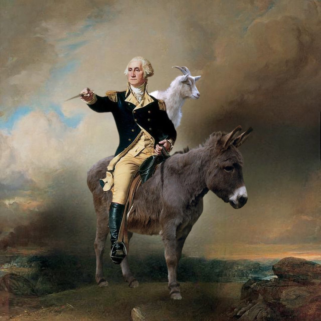 🐐 You Goat Mail 🐐 tweet media