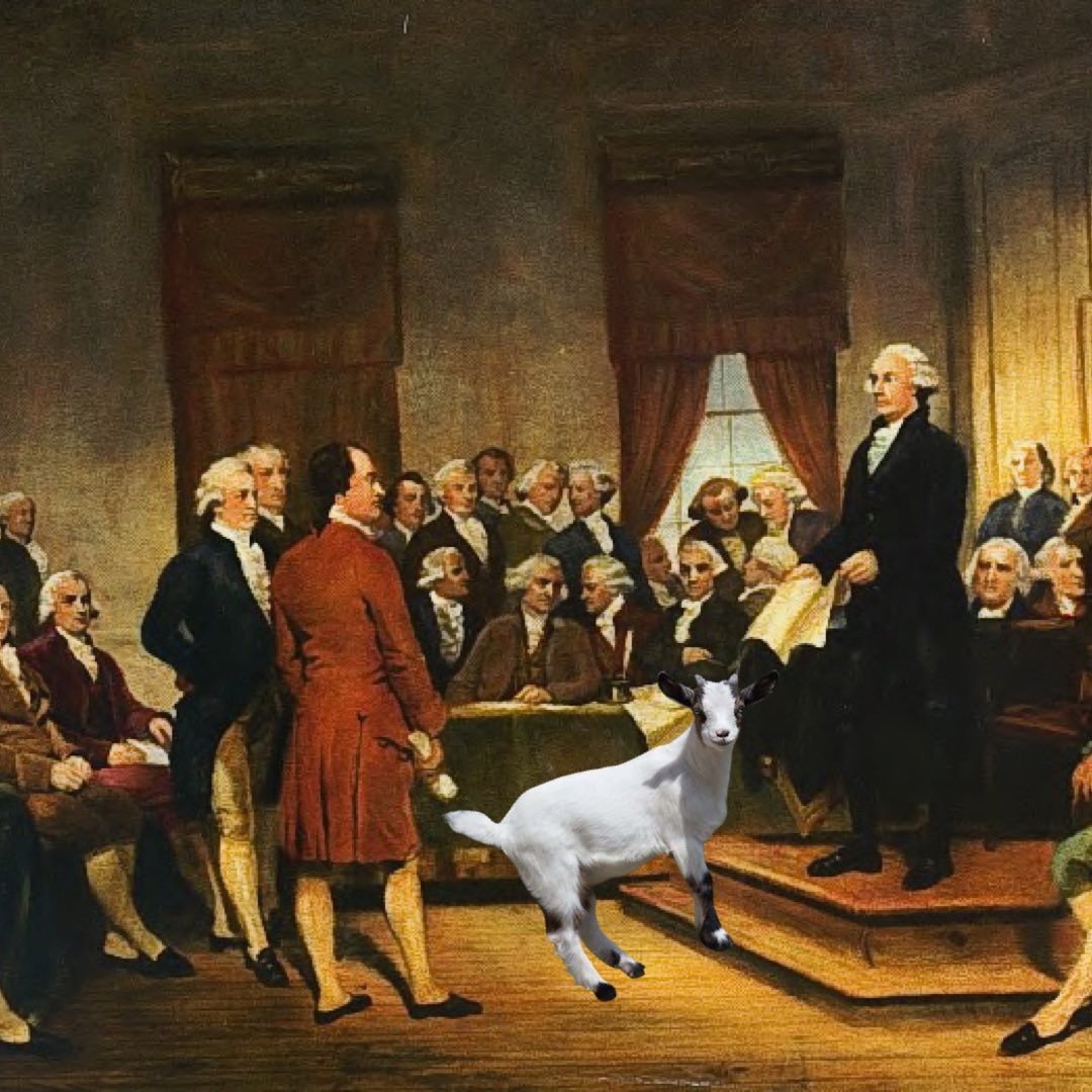 🐐 You Goat Mail 🐐 tweet media