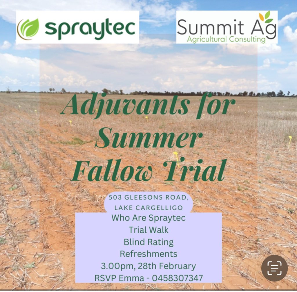 Emma Ayliffe tweet media