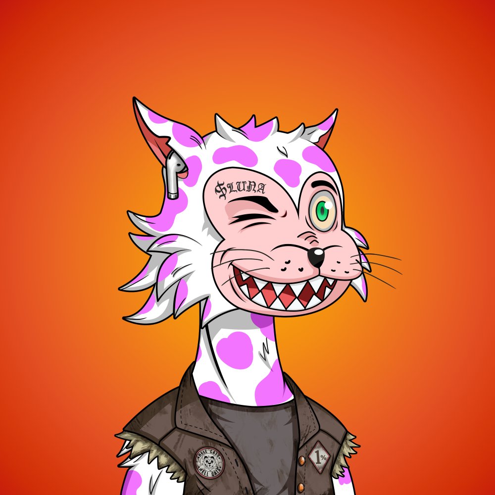 CoinStoic tweet media