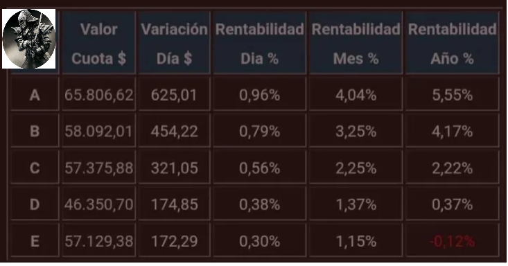 NinyaAFP's tweet photo. Variación porcentual de los Fondos de Pensiones publicados hoy por AFP Capital, correspondiente al día jueves 15 de febrero 2024. #afpcapital #afp #usdclp https://t.co/KNfrC73Ra1