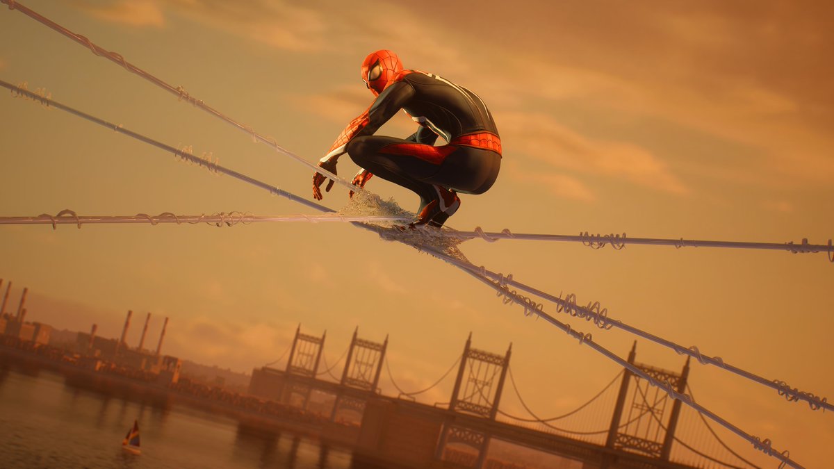 thedockoala tweet picture