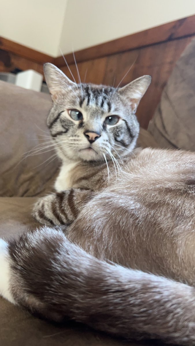 CodeNameLore's tweet image. My boys 🤍🤍