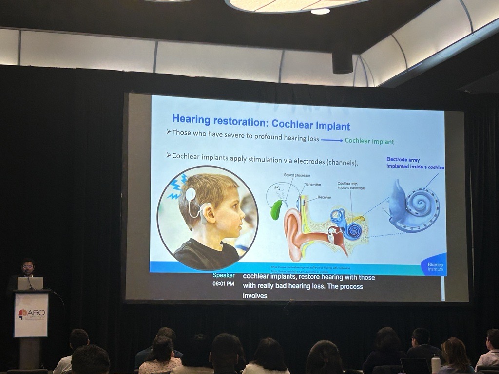 AzeesAjmal's tweet photo. 🚀Exciting Update! Presented our work on "Combined Optogenetic &amp; Electrical Stimulation for  Spatially and Temporally Precise Stimulation of Cochlear Neurons" at the 47th ARO Mid-Winter Meeting 2024 in Anaheim, USA. Thanks @AROMWM for the travel grant! 🌍#ARO2024 #CochlearImplant https://t.co/adWRMNSDIT