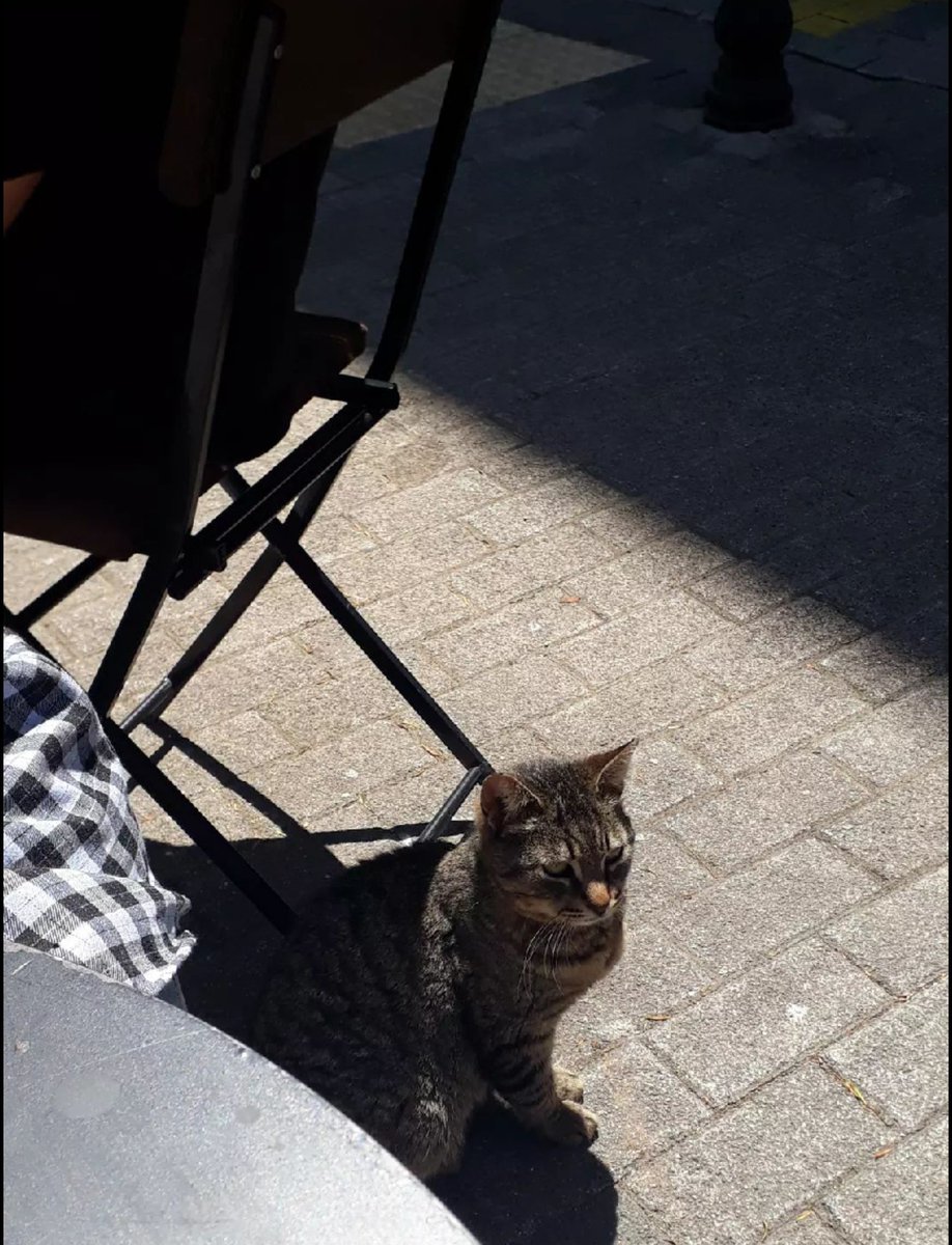 #Hz Ömer (r.a) #şöyle buyurmuştur.. #Hesaba çekilmeden #önce kendinizi hesaba çekiniz. #Amelleriniz mizanda tartılmadan #önce siz onları #vicdanınızda tartınız. #Allah'a arz olacağınız büyük hesap günü için #kendinizi salih #amellerinizle süsleyiniz.