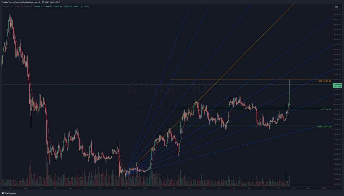 Think in Coin tweet media