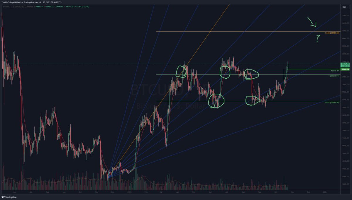 Think in Coin tweet media