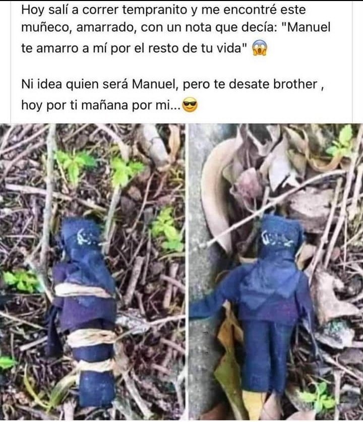 Spix02's tweet image. xd