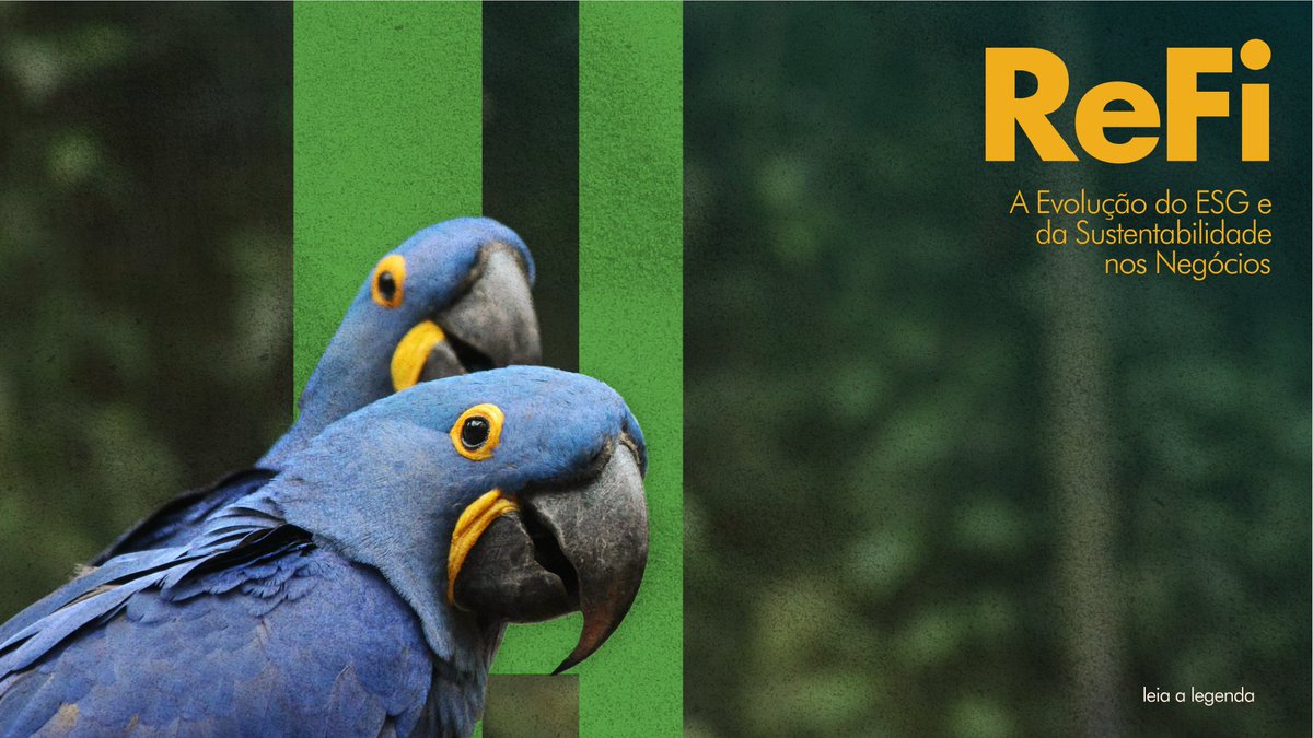 🌱💼 #ReFi: or Regenerative Finance, is the next phase in the business journey towards sustainability. Committed companies not only minimize negative impacts but also actively contribute to ecosystem regeneration and social equity. Learn more about this topic at Rio Cripto Hub!