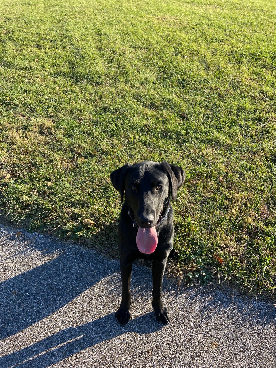 <a href="/kysue925/">Ky</a> Happy birthday from Fluffhead.