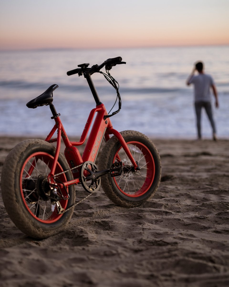 The world is your playground with the Element 🌅 #Pedego