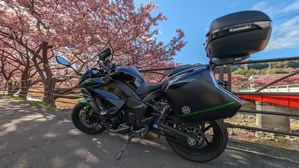 Nin650G's tweet photo. 河津桜をみに伊豆へ

#河津桜まつり 
#河津桜 
#河津町 
#伊豆 
#Kawasaki 
#Ninja1000SX https://t.co/0fKfmeB5zT