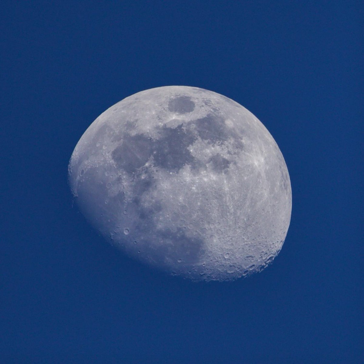 sistersfate's tweet photo. Today’s #moon. https://t.co/uLqkmDhxyE