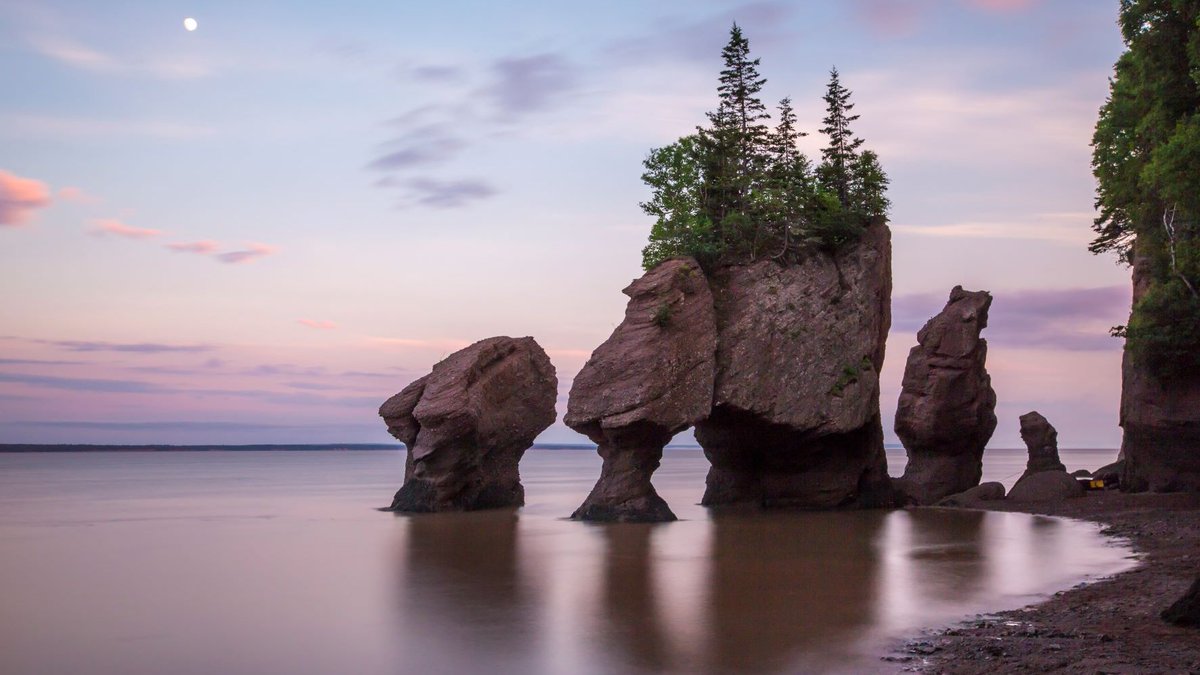 AmericanTours1's tweet photo. Explore the Wonders of Atlantic Canada in NOVA SCOTIA, NEWFOUNDLAND &amp; LABRADOR, NEW BRUNSWICK, and PRINCE EDWARD ISLAND. The Self-Drive tour packages are bookable on https://t.co/EmlXfxSAwP!
#atlanticcanada #novascotia #newfoundlandandlabrador #newbrunswick #princeedwardisland https://t.co/esGX6zw1BF