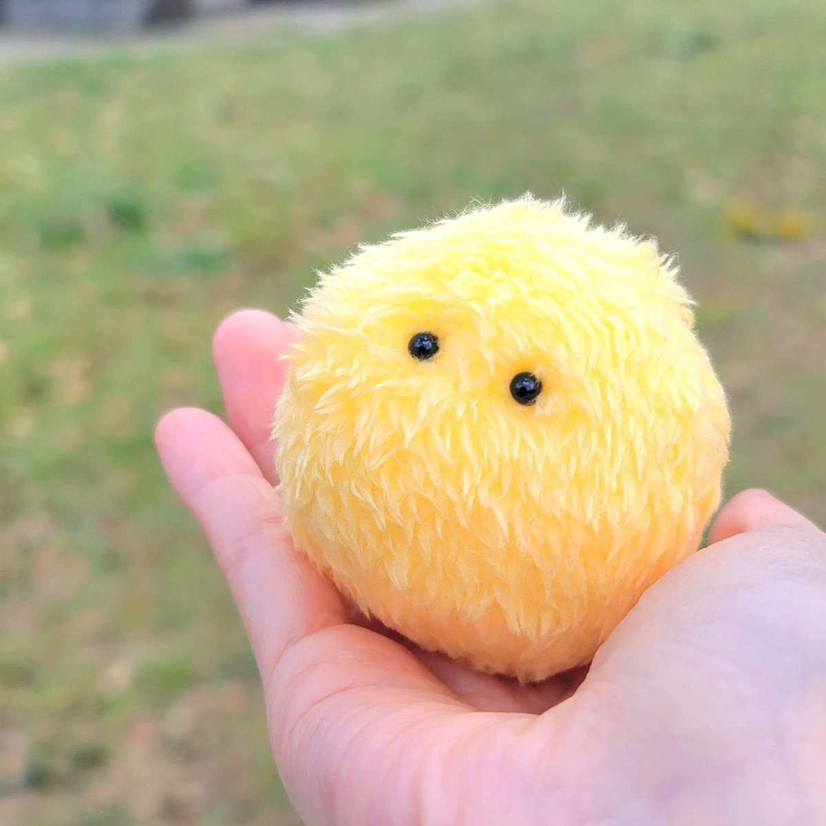YuruZ00's tweet photo. つかまって少々申し訳なさそうな花粉🫴🌲🟡

#アレルギーの日 https://t.co/L0EAvQvsUQ