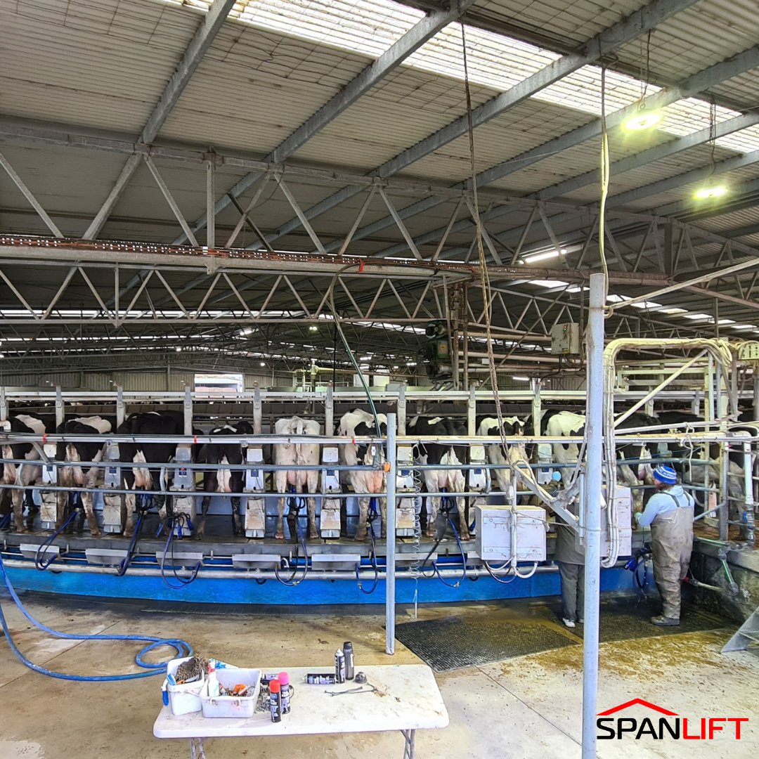 A well designed and built Dairy Shed will serve you day in and day out, for years to come. 🐄

This dairy incorporates a production office, engine room and undercover drive-through loading area. 

Chat to our Design Consultants to help tailor the right solution for your needs.