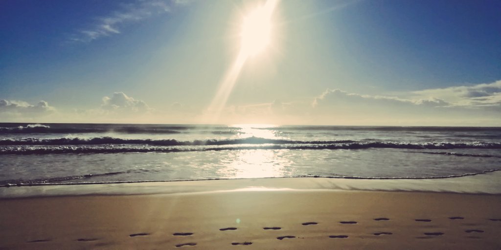 Vics_Echidna's tweet photo. Beautiful morning, low humidity, air fresh, #Butcherbirds a-plenty 😍 #NatureMatters🌅 #GoldCoast💛🌇 #MoveMore💪 https://t.co/VwvJoyfwK4