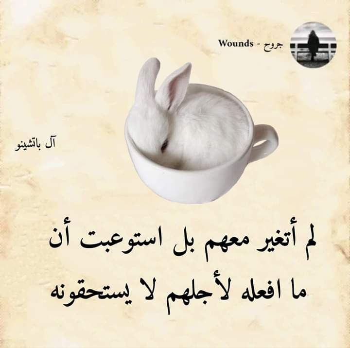 في تويتر ماحصلت ولا شخص صادق وتقول ابغى نحيق يجيك دب وتقول ما ابغى كبار بالعمر ويجوك كبار من فين يفهموا مااعرف