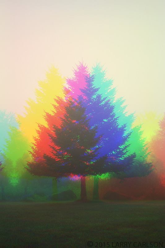 LARRY CARLSON tweet media