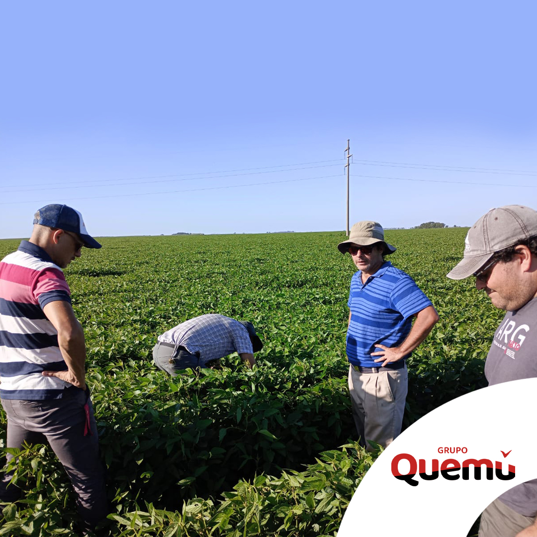 Seguimos recorriendo lotes de soja. esta vez en el campo Santa Elena, junto a Andrés Corromola dentro del marco del Programa de Protección Integral Soja

Estamos comprometidos a estar cerca tuyo, trabajando mano a mano para lograr una agricultura más eficiente y sostenible.