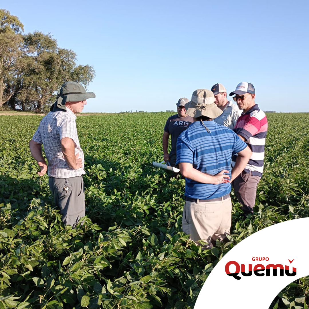 Cereales Quemú de Grupo Quemú tweet media