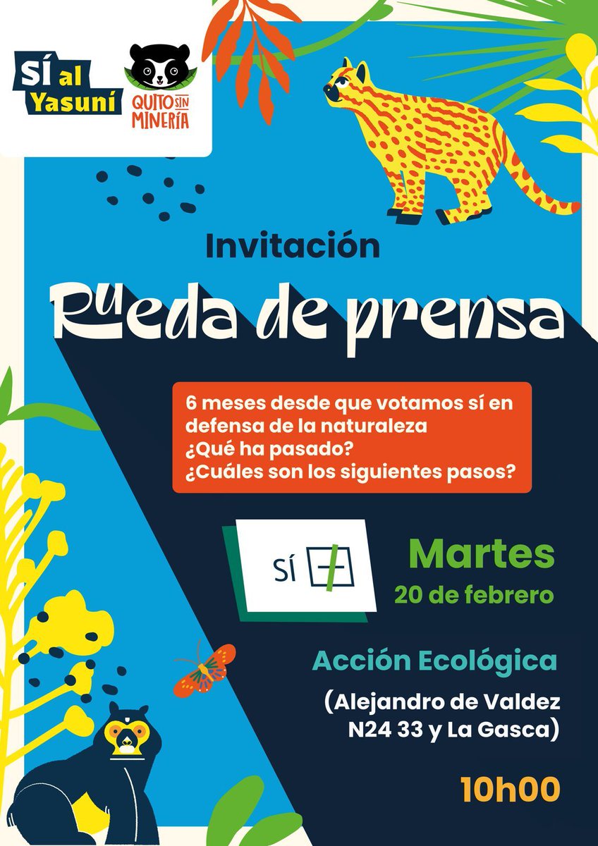 Rueda de Prensa

Mañana se cumplen 6 meses desde que los ecuatorianos y los quiteños le dijeron Sí, a la vida y a la naturaleza.
¿Qué sucede con esta decisión popular?

🗓️ martes 20 de febrero 
⏰ 10h00
📍 Alejandro de Valdez N24-33 y La Gasca. Quito

¡Los esperamos!